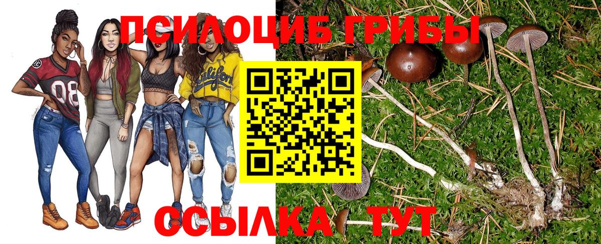 Мариинск  Псилоцибиновые грибы мухоморы  Галлюциногенные грибы Psilocybine cubensis  Вход с VPN 